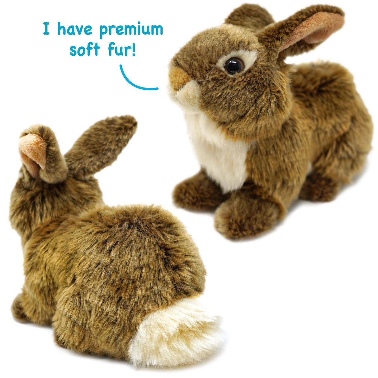 Brown Rabbit