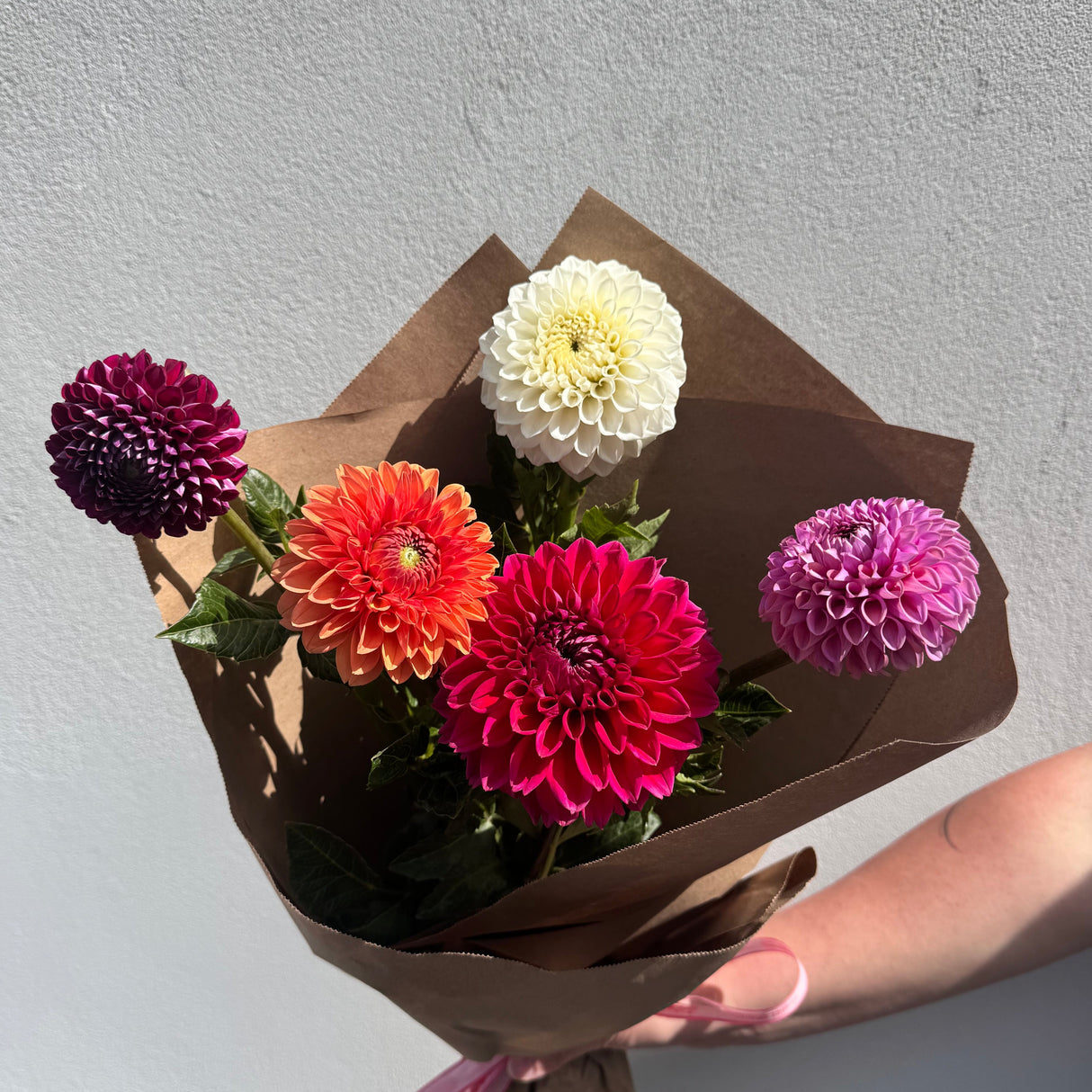Assorted Dahlia Wrap