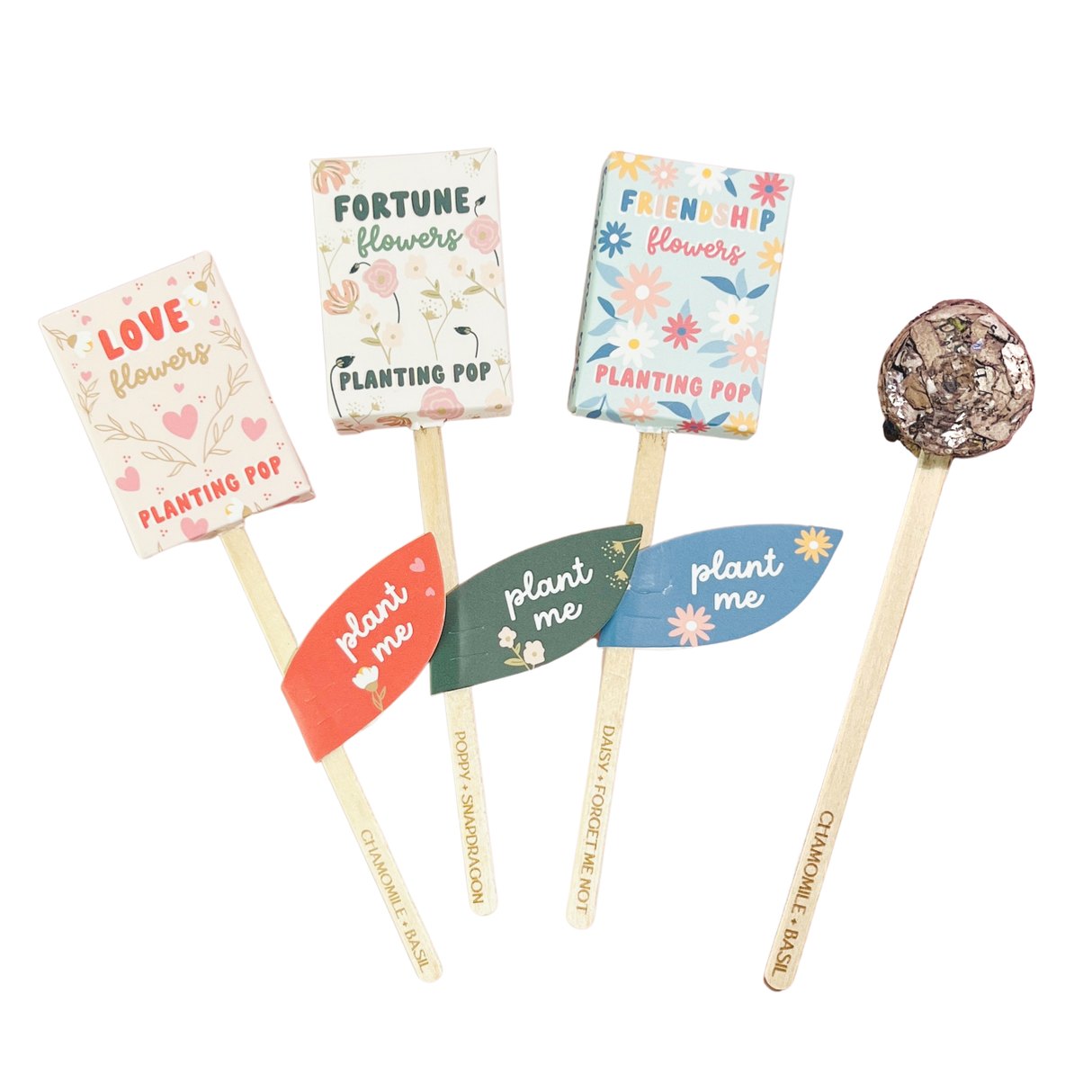 Gift Seed Planting Pop: Flowers