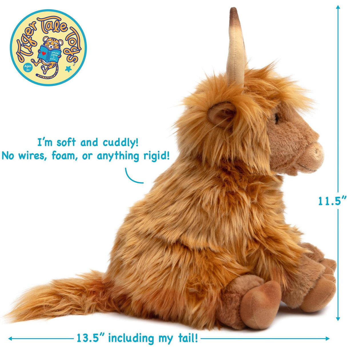 Highland Cow